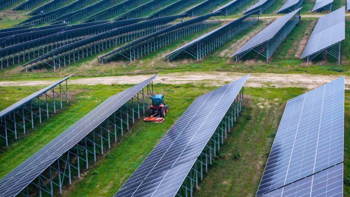 Eröffnung des größten deutschen „Agri-PV-Parks“: 10.09.2025, Mecklenburg-Vorpommern, Tützpatz: Solarmodule stehen in der größten Agri-PV-Anlage ihrer Art in Deutschland. (Luftaufnahme mit einer Drohne) Die Module können bei landwirtschaftlichen Arbeiten hochgeklappt werden. Das Energieunternehmen Vattenfall hat die Anlage offiziell in Betrieb genommen. Auf 93 Hektar sollen demnach Stromerzeugung sowie Ackerbau und Tierhaltung erfolgen. Die Leistung wird mit bis zu 76 Megawatt angegeben. Foto: Jens Büttner/dpa +++ dpa-Bildfunk +++