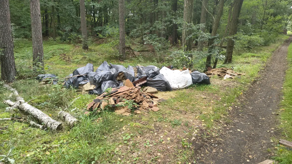 gefährlicher Müll für Umwelt und Mensch im Wald bei Eberswalde