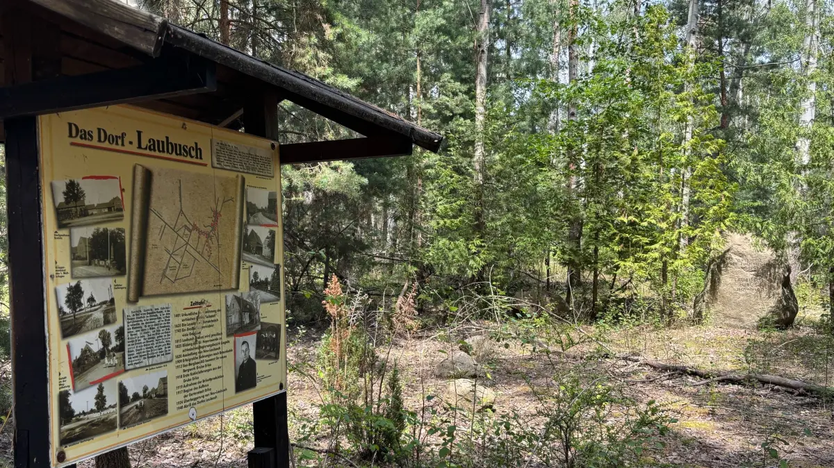 Impression von der Ortserinnerungsstätte Laubusch. Sie befindet sich nordöstlich der Gartenstadt Erika mitten im Wald. Dort stand bis zum Jahr 1924 das alte Dorf Laubusch