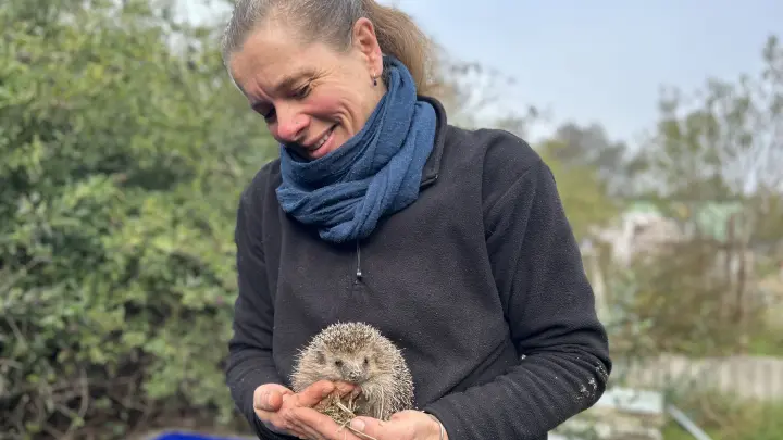 Wie Jenny Feddern plötzlich „Mama“ von zehn Igeln wurde