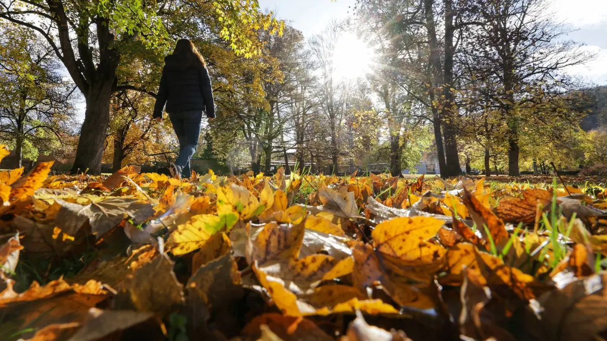 Wetter in Baden-Württemberg: 26.10.2025, Baden-Württemberg, Zwiefalten: Eine Spaziergängerin geht im Herbstlaub durch einen Park. Foto: Thomas Warnack/dpa +++ dpa-Bildfunk +++