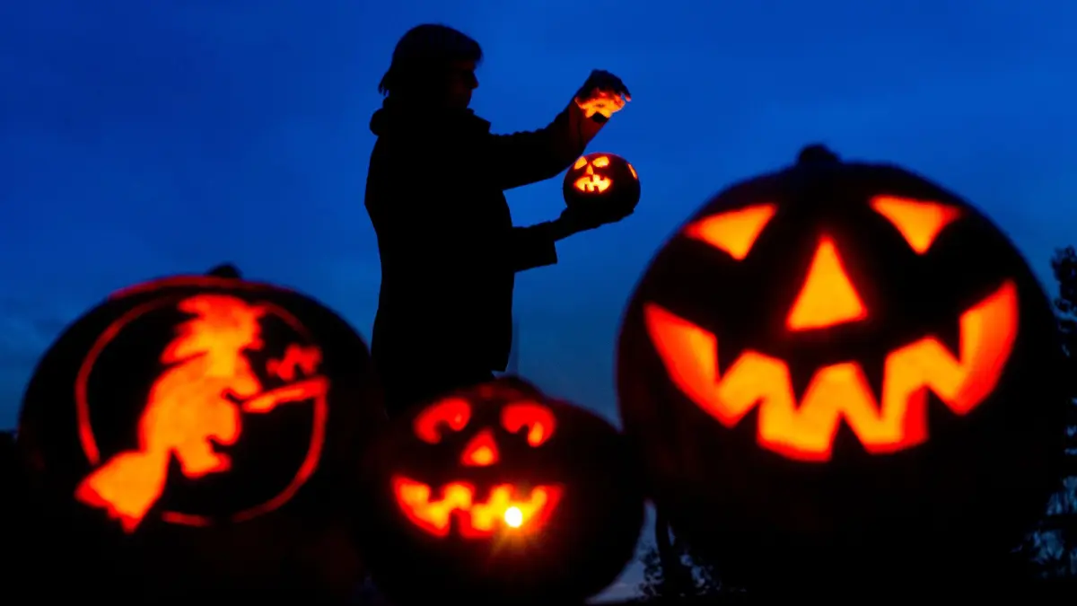 Halloween - Veranstaltungen für Hunde und ihre Besitzer