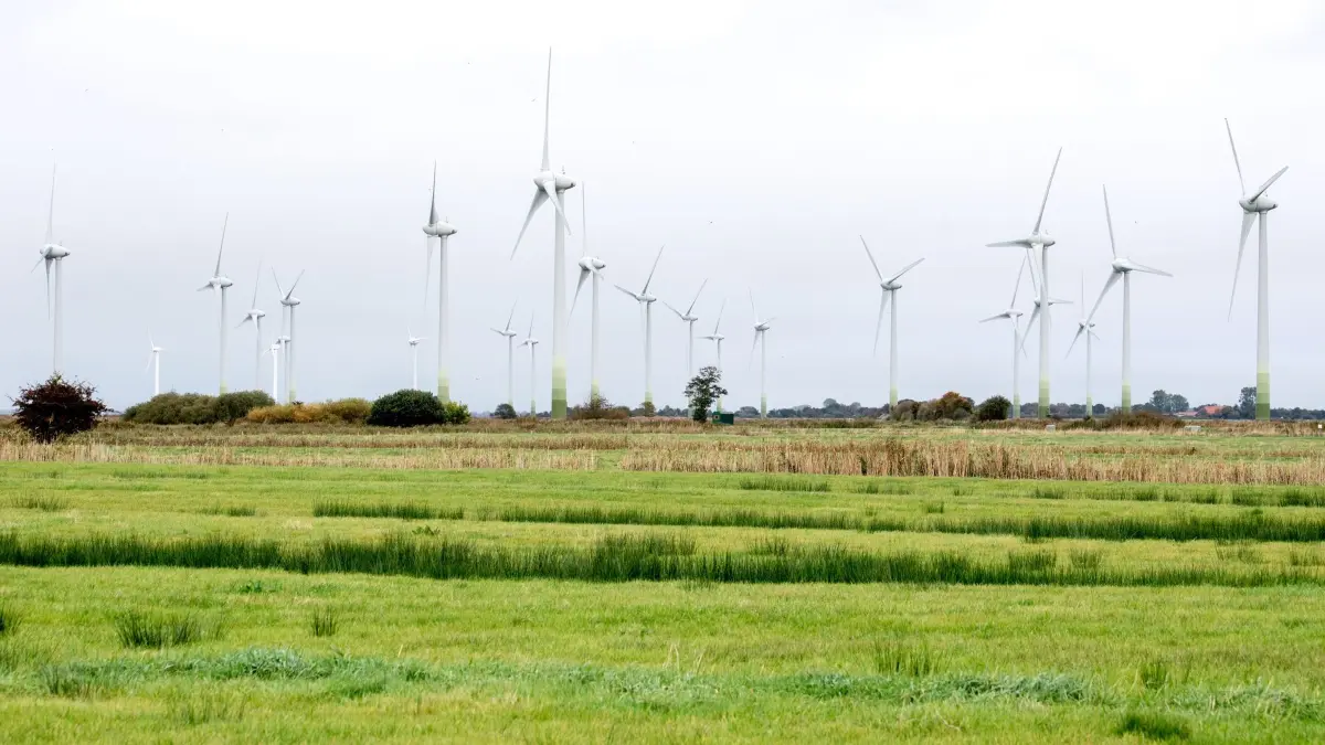 Windkraftanlagen in Ostfriesland: ARCHIV - 12.10.2025, Niedersachsen, Holtgast: Zahlreiche Windkraftanlagen stehen in einem Windpark nahe Utgast in der Gemeinde Holtgast in Ostfriesland. (zu dpa: «Niedersachsen treibt Ausbau der Windkraft weiter voran») Foto: Hauke-Christian Dittrich/dpa +++ dpa-Bildfunk +++