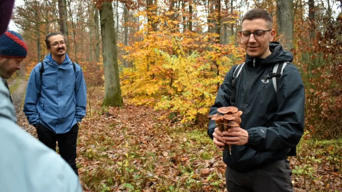 Der Pilzsachverständige Robert Pump (rechts) zeigt Pilzliebhabern zwischen Kleinsee und Großsee bei Guben, worauf sie bei der Suche im Spätherbst achten müssen.
