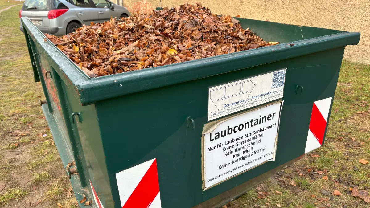 Laub-Container der Stadt Lübben im Ortsteil Steinkirchen.