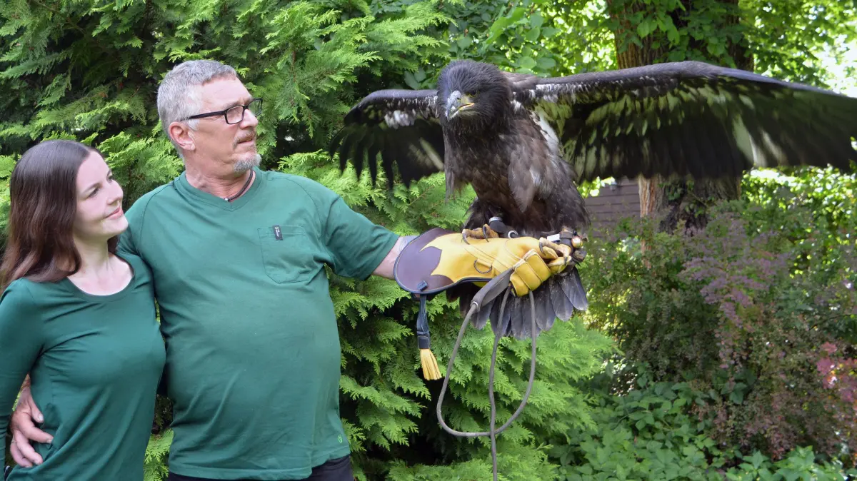 Im Juli war die Welt bei Sina und Dirk von Bargen noch in Ordnung. Stolz präsentiert das Falkner-Paar ihren jungen Adler, der plötzlich verendet ist.