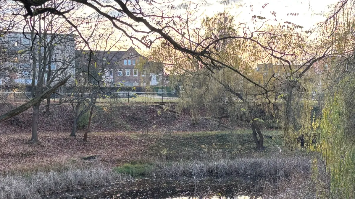 Der Käseteich in Weißwasser soll grundlegend erneuert werden. Darum wird das Gewässer jetzt zum Streitpunkt.