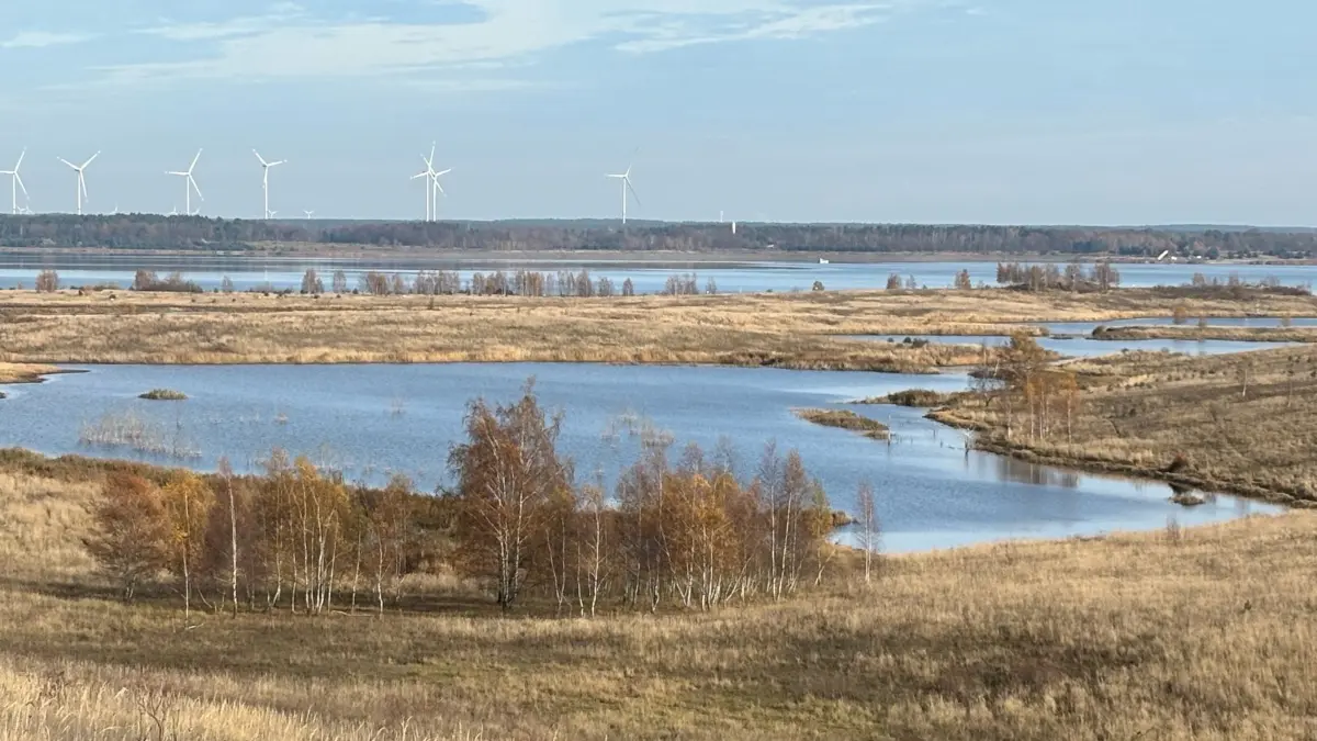 Blick auf einen Teil der Ilse-Weiher und den dahinter befindlichen Großräschener See. Das gebiet dient dem Naturschutz.