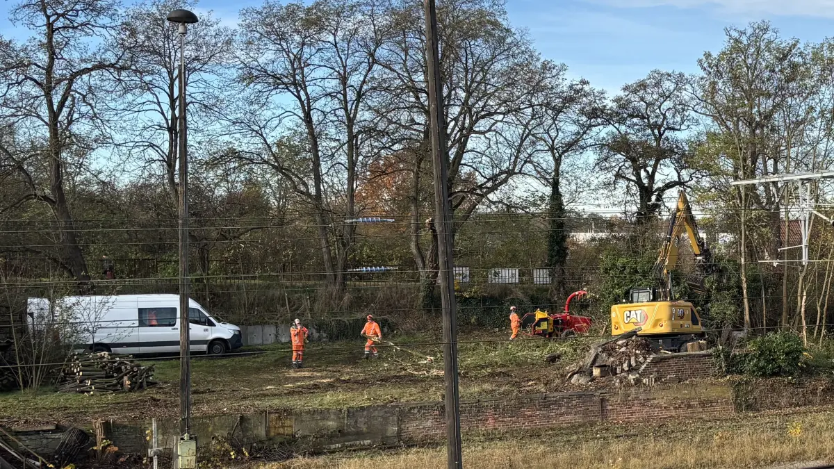 Auf dem Bahnhof in Guben schneiden Arbeiter eine Fläche westlich der Gleisanlagen frei.