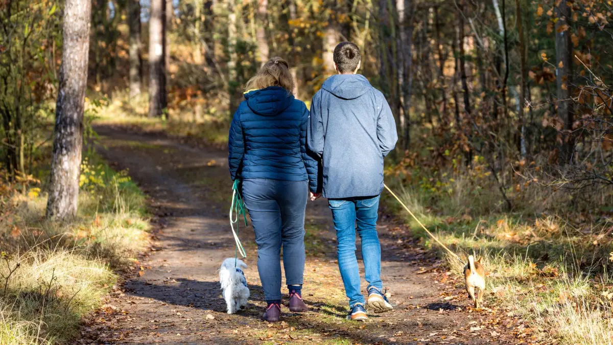 Wetter in Brandenburg: 16.11.2025, Brandenburg, Byhleguhre: Eine Frau und ein Mann spazieren mit ihren Hunden in einem Wald Süden von Brandenburg. Die Temperaturen erreichen laut Vorhersage nochmals 12 Grad Celsius. In den nächsten Tagen wird es kälter. Nachts kann die Temperatur den Frostbereich erreichen. Foto: Frank Hammerschmidt/dpa +++ dpa-Bildfunk +++