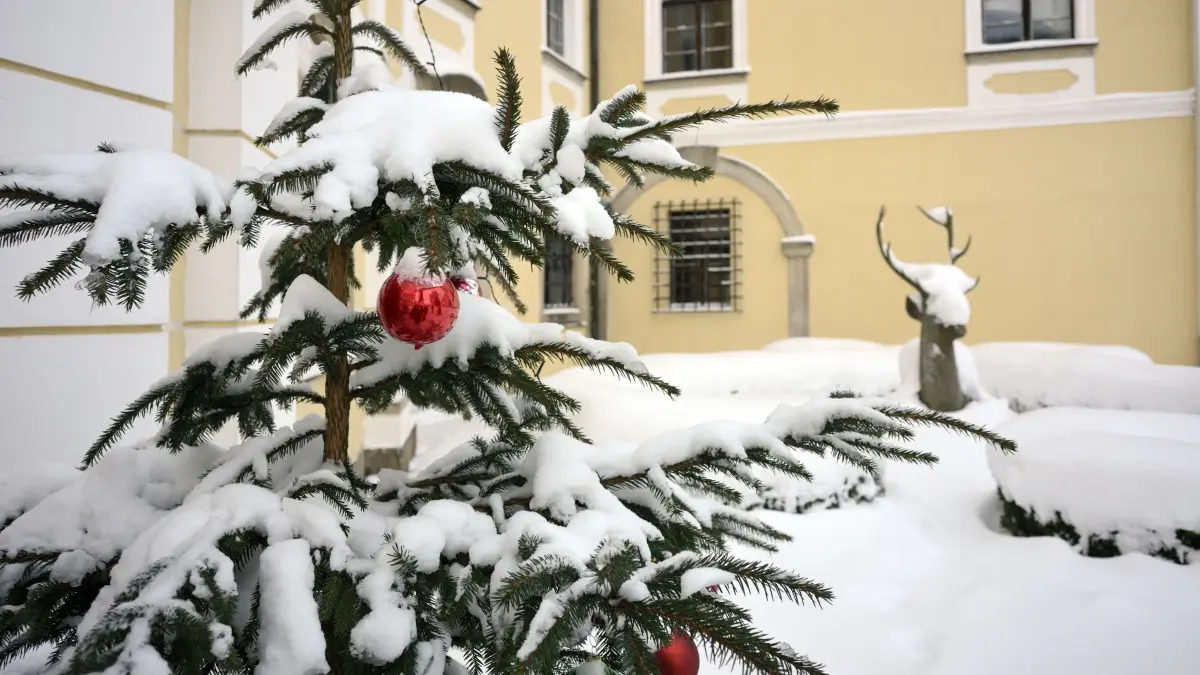 Weihnachtlich geschmückt ist das Schloss, das dem böhmischen Adelsgeschlecht Kinsky gehört. Manche Schlösser und Burgen in Tschechien laden zur Adventszeit zu Märkten, Ausstellungen und Konzerten ein. +++ dpa-Bildfunk +++