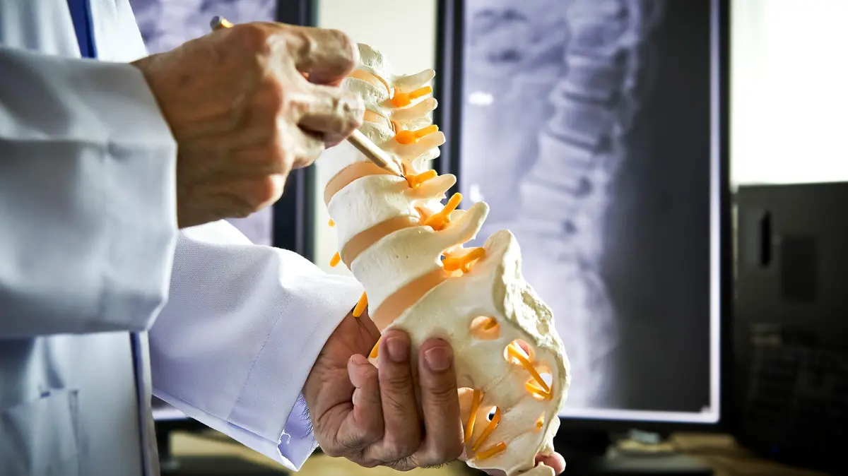 Ob Bandscheibenvorfall, Entzündung oder Spinalkanalverengungen: In der neurochirurgischen Sprechstunde des Sana Gesundheitszentrum Niederlausitz wird das ambulante Spektrum von Wirbelsäulenerkrankungen abgedeckt.