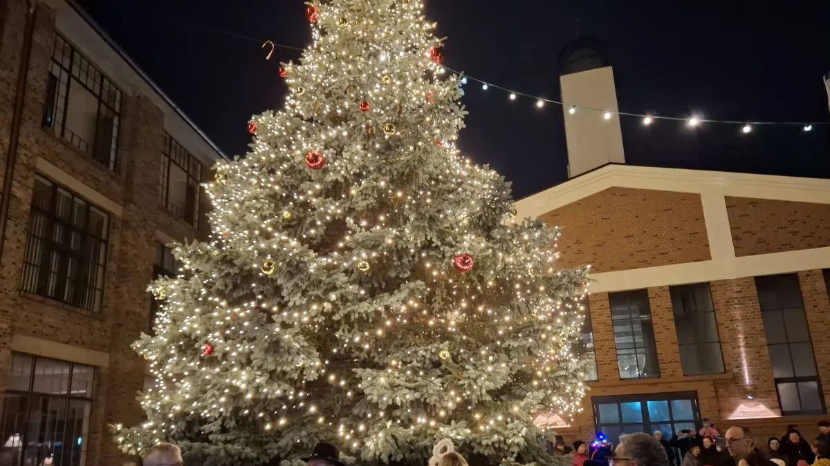Der Weihnachtsbaum vor der Alten Färberei ist mit Lichtern übersät.