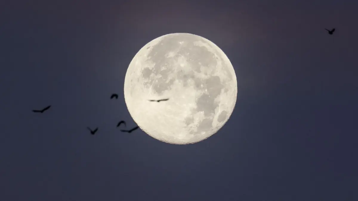 Vollmond