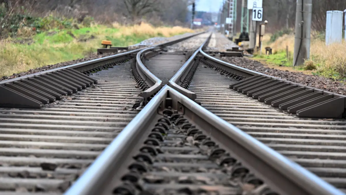 Kolkwitz Bahn Ausbau zweites Gleis: Kurz hinter dem Bahnübergang Kolkwitz Berliner Strasse haben die Abholzarbeiten für den zweigleisigen Ausbau der Bahnstrecke Cottbus-Lübbenau begonnen.