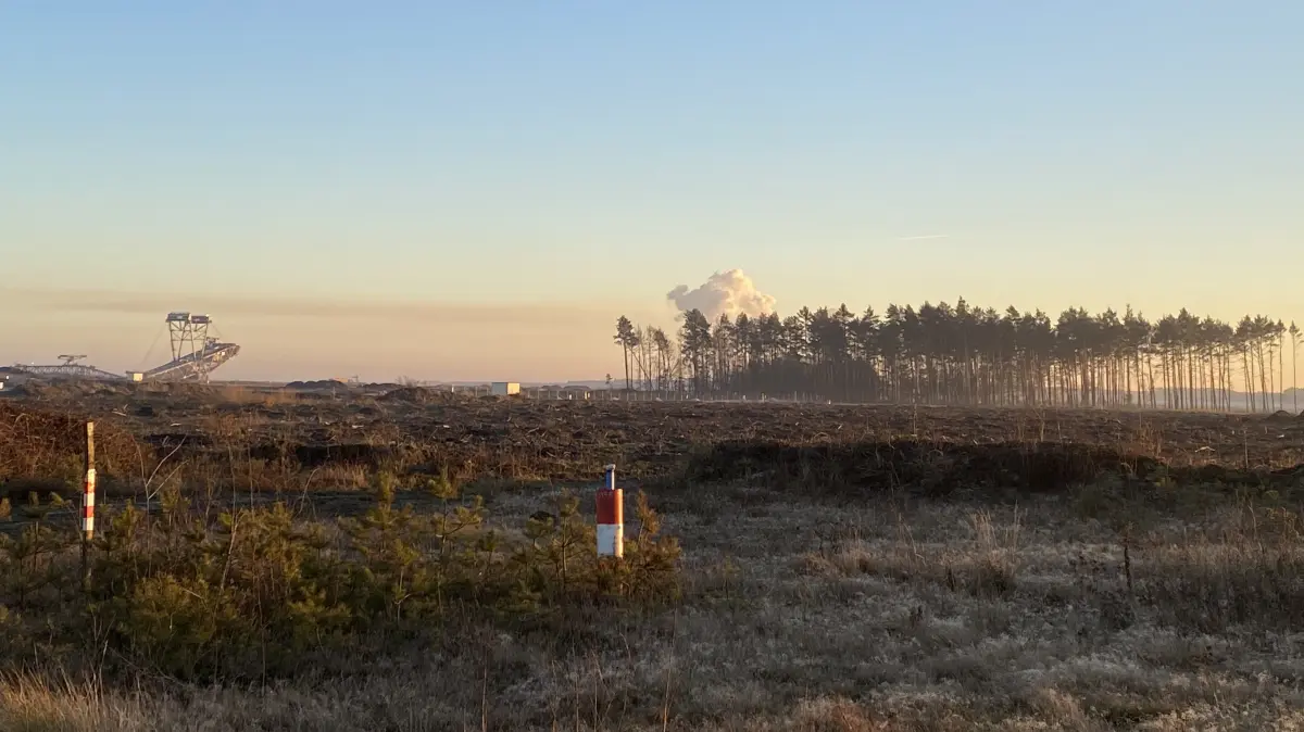 Um diesen halben Hektar großen Wald in Rohne geht es. Im Hintergrund sind die ersten Tagebaugeräte zu sehen.