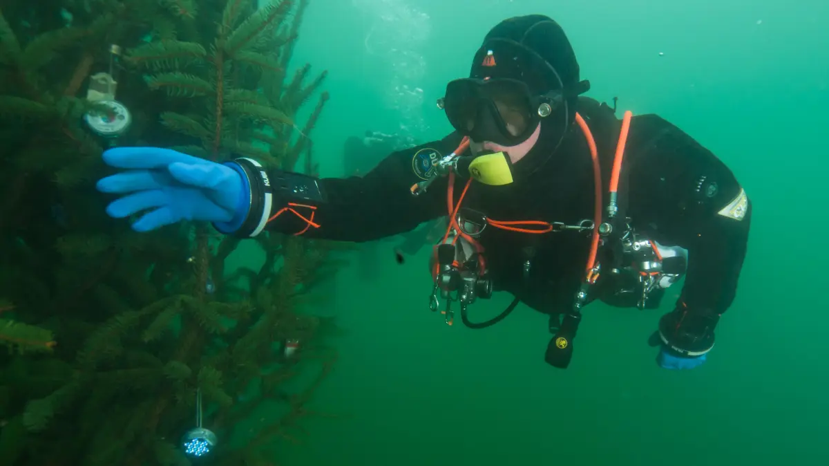 Beim Adventstauchen im Halbendorfer See nahmen Taucher aus ganz Sachsen teil,. Ihre Geschenke waren an einem Weihnachtsbaum unter Wasser angebracht.