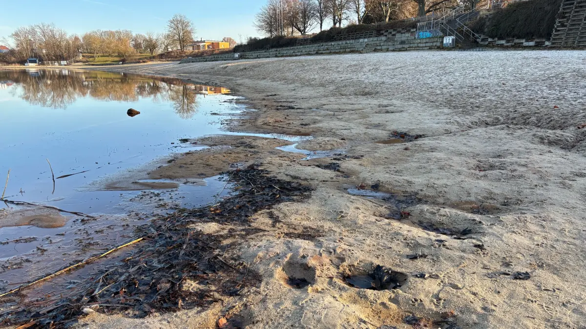 So wild sieht es derzeit am Tagesstand Großkoschen am Senftenberger See aus. Auch an anderen Abschnitten besteht dringender Handlungsbedarf.