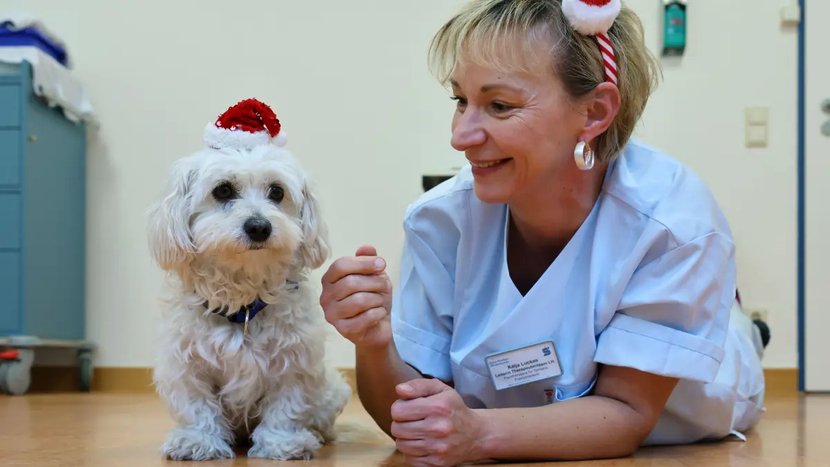 Therapiehündin Mercedes ist der Star in der Klinik für Geriatrie: Mit Ergotherapeutin Katja Luckas zaubert die kleine Havanser-Hündin vielen Patienten ein Lächeln ins Gesicht.