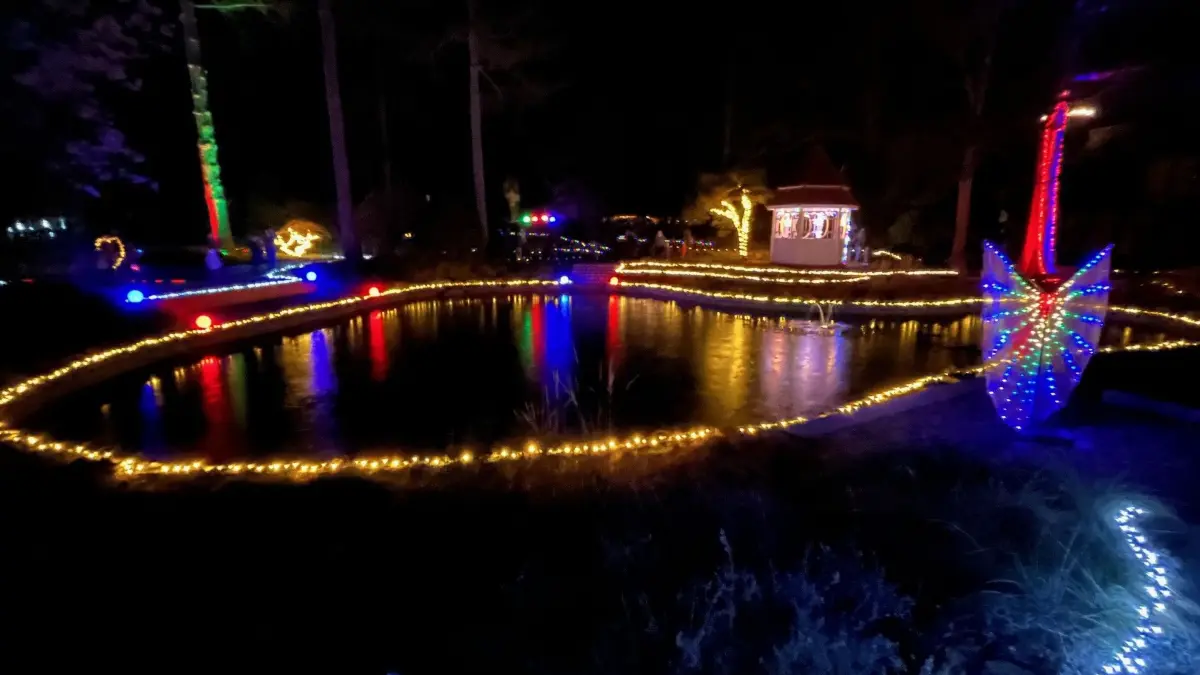 Die Lichtinstallationen tauchten den Botanischen Garten in eine funkelnde Winterkulisse. Hunderte Besucherinnen und Besucher ließen sich von der besonderen Atmosphäre tragen.