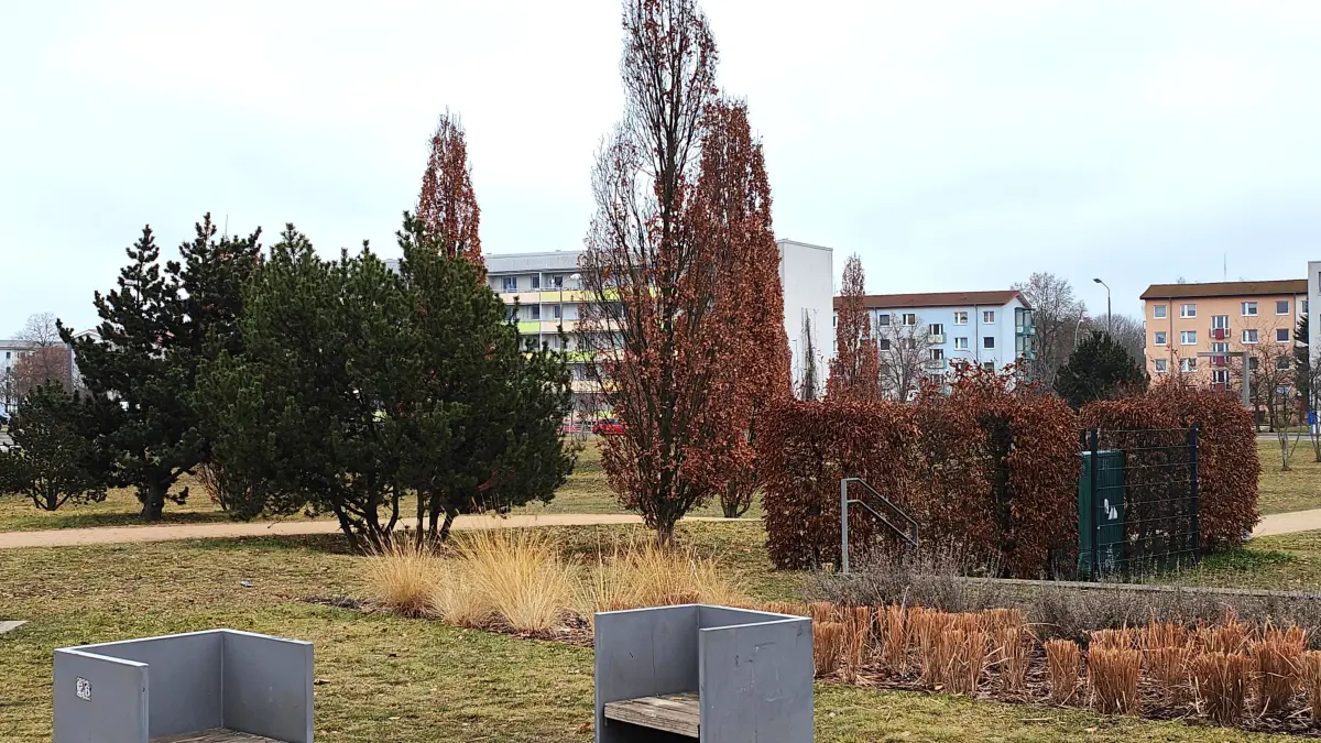 Die Bäume im Zentralpark von Hoyerswerda werden regelmäßig von Ulrike Kühne kontrolliert.