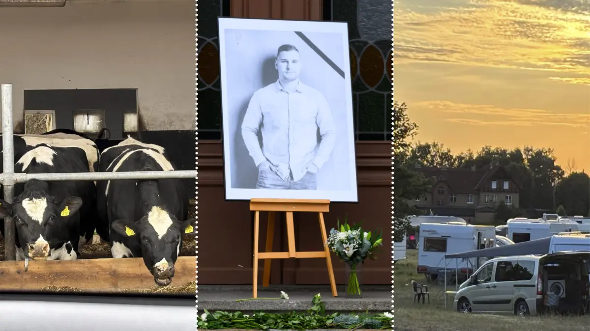 Montage Jahresrückblick Senftenberg