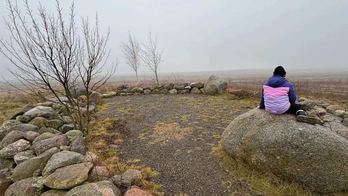 Die neu aufgeschüttete Geisendorf-Steinitzer Endmoräne bei Neupetershain lohnt auch bei nebligem Wetter einen Besuch. Mit ein wenig Fantasie verwandeln können sich manche Steine und Bäume in geheimnisvolle Wesen verwandeln