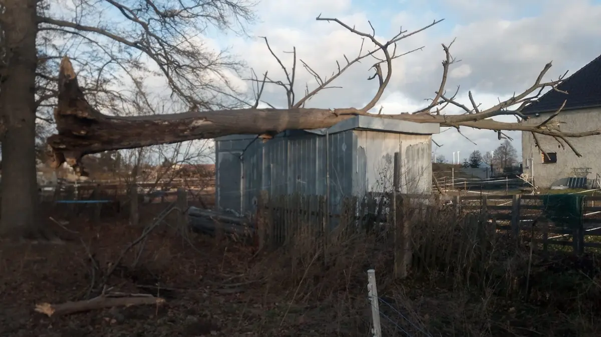 Ein mächtiger Baum ist auf diesen Pferdeunterstand in Bönitz gestürzt.
