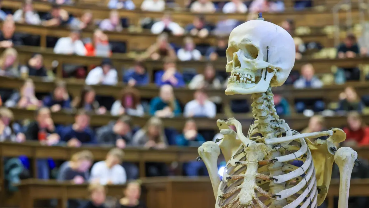 Medizinstudenten im Hörsaal: ARCHIV - 21.11.2025, Sachsen, Leipzig: Medizinstudenten sitzen im Hörsaal Anatomie in einer Vorlesung. (zu dpa: «Medizinstudium in Ungarn – Bewerbung für 40 Plätze läuft») Foto: Jan Woitas/dpa +++ dpa-Bildfunk +++