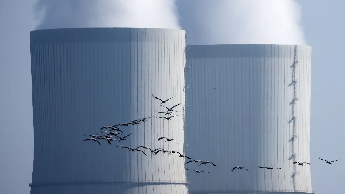 Eine Gruppe Kraniche fliegt an den Kühltürmen des Braunkohlekraftwerks Lippendorf vorbei. +++ dpa-Bildfunk +++