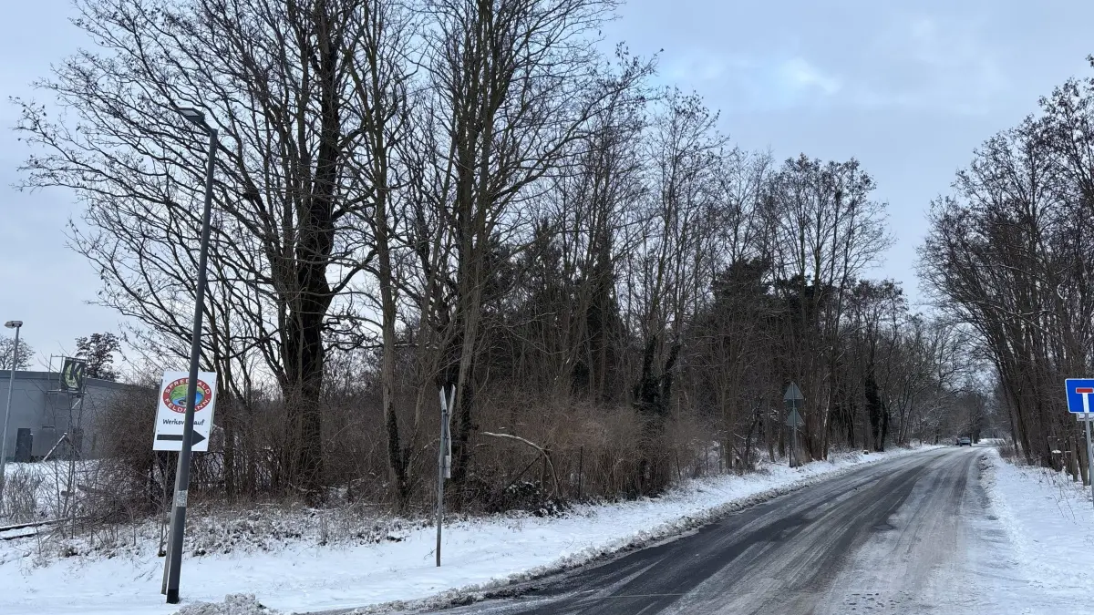 Fläche an der Majoransheide in Lübben, die die Stadt verkaufen will.