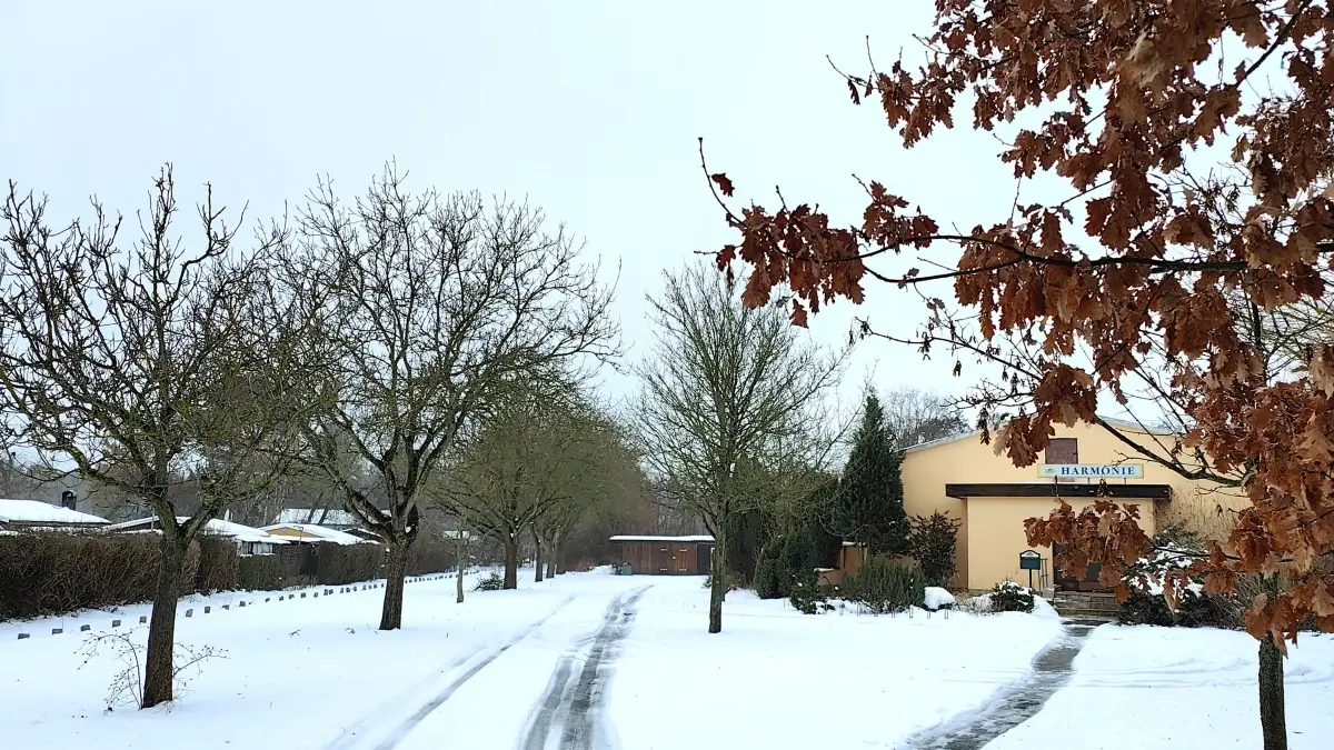 Zur Zeit herrscht Winterruhe in den Kleingartenanlagen von Hoyerswerda. Die Zeit wird auch genutzt, um drängende Probleme zu lösen.