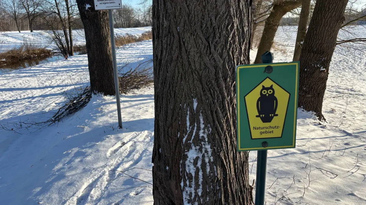 Um dieses Schild am Eingang zur Allee auf dem Elsterdeich in Ruhland geht es. Offiziellen Charakter besitzt diese Naturschutztafel jedenfalls nicht.