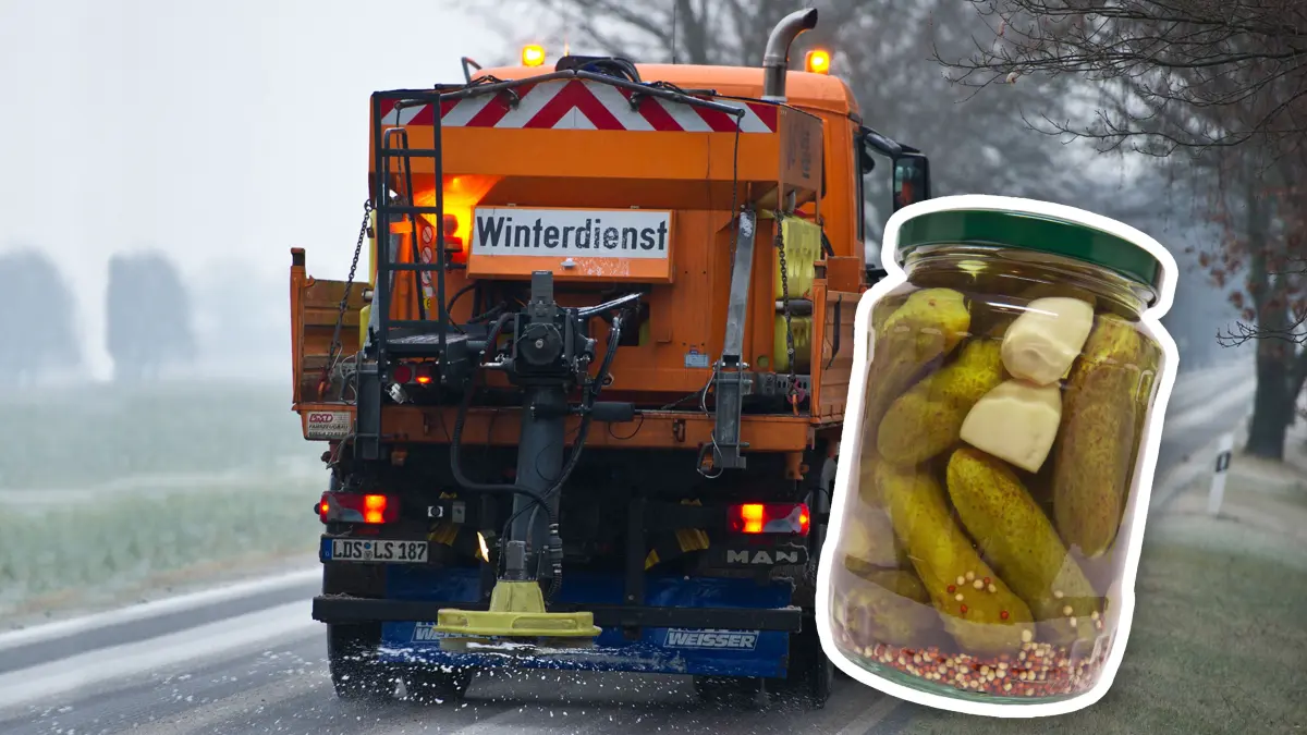 Fotomontage Winterdienst Gewürzgurken