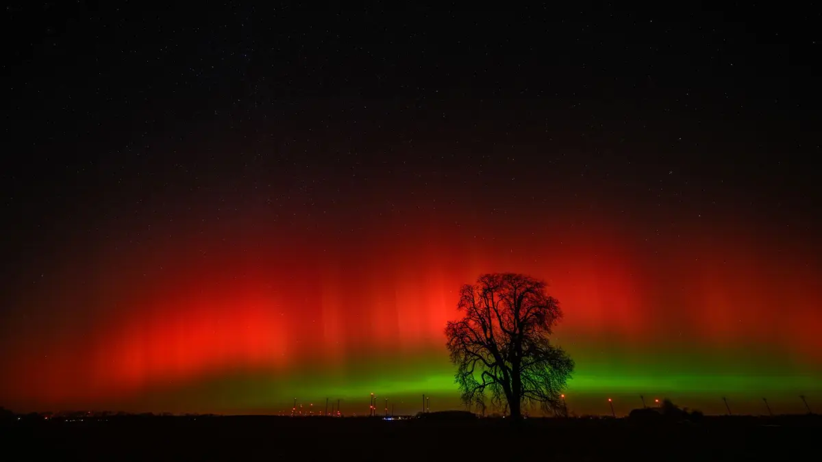 Polarlichter über Brandenburg: 19.01.2026, Brandenburg, Lietzen: Polarlichter leuchten am Nachthimmel über der Landschaft im östlichen Brandenburg. Dieses Nordlicht (Aurora borealis) wurde durch eine Wolke elektrisch geladener Teilchen eines Sonnensturms in der Erdatmosphäre erzeugt. Foto: Patrick Pleul/dpa +++ dpa-Bildfunk +++