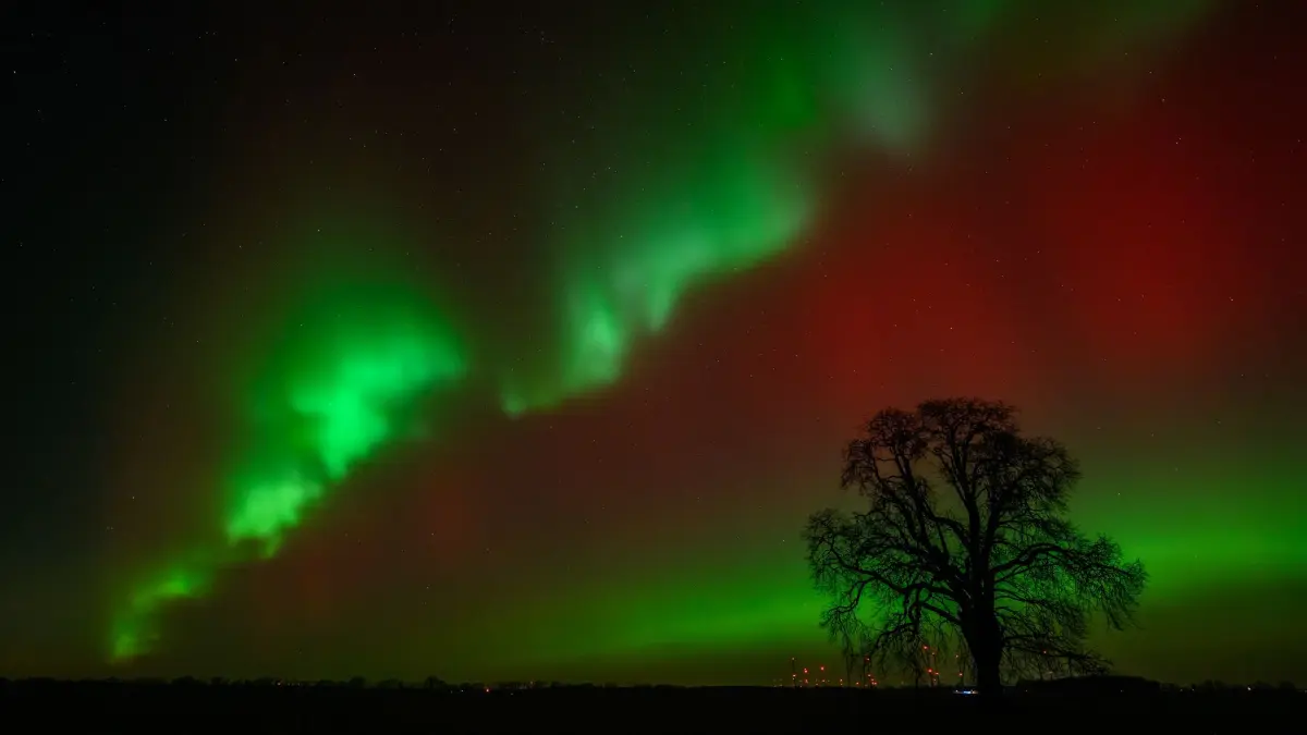 Polarlichter über Brandenburg: 19.01.2026, Brandenburg, Lietzen: Polarlichter leuchten am Nachthimmel über der Landschaft im östlichen Brandenburg. Dieses Nordlicht (Aurora borealis) wurde durch eine Wolke elektrisch geladener Teilchen eines Sonnensturms in der Erdatmosphäre erzeugt. Foto: Patrick Pleul/dpa +++ dpa-Bildfunk +++