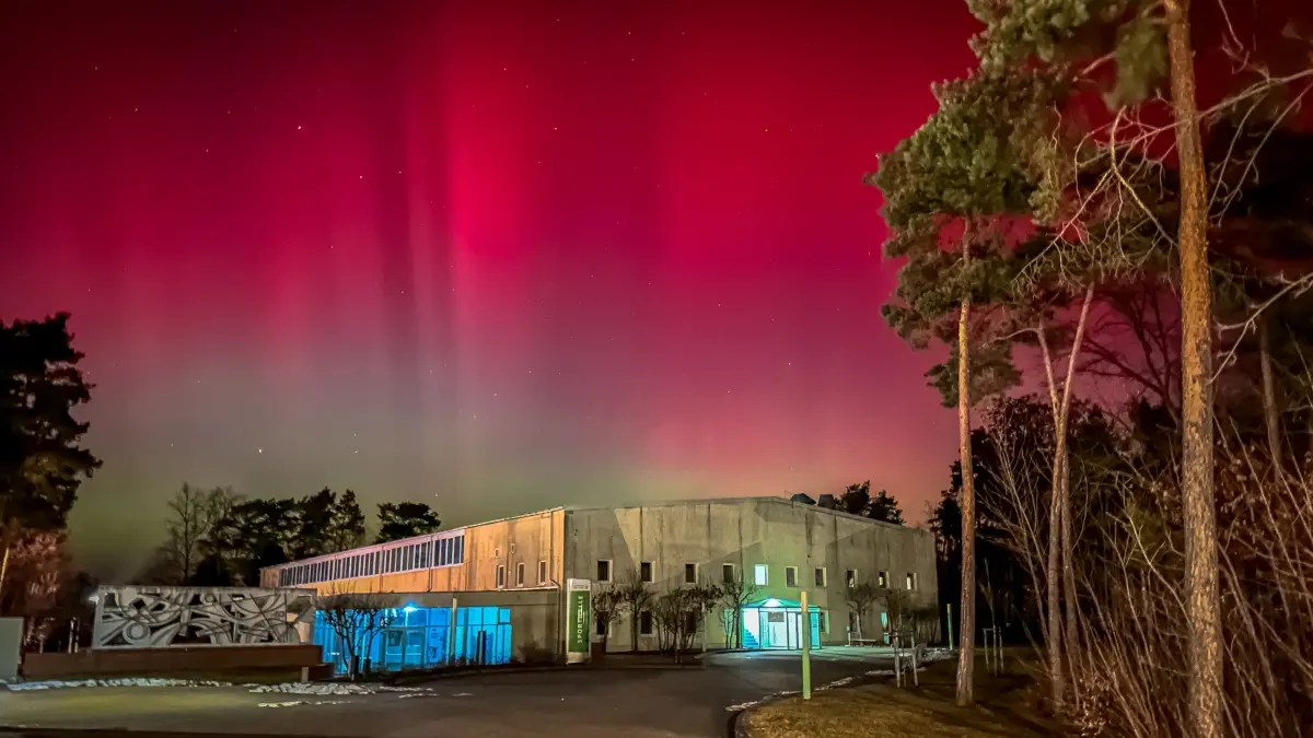 Polarlichter, der Himmel "brennt" über der Sporthalle in Bad Liebenwerda.