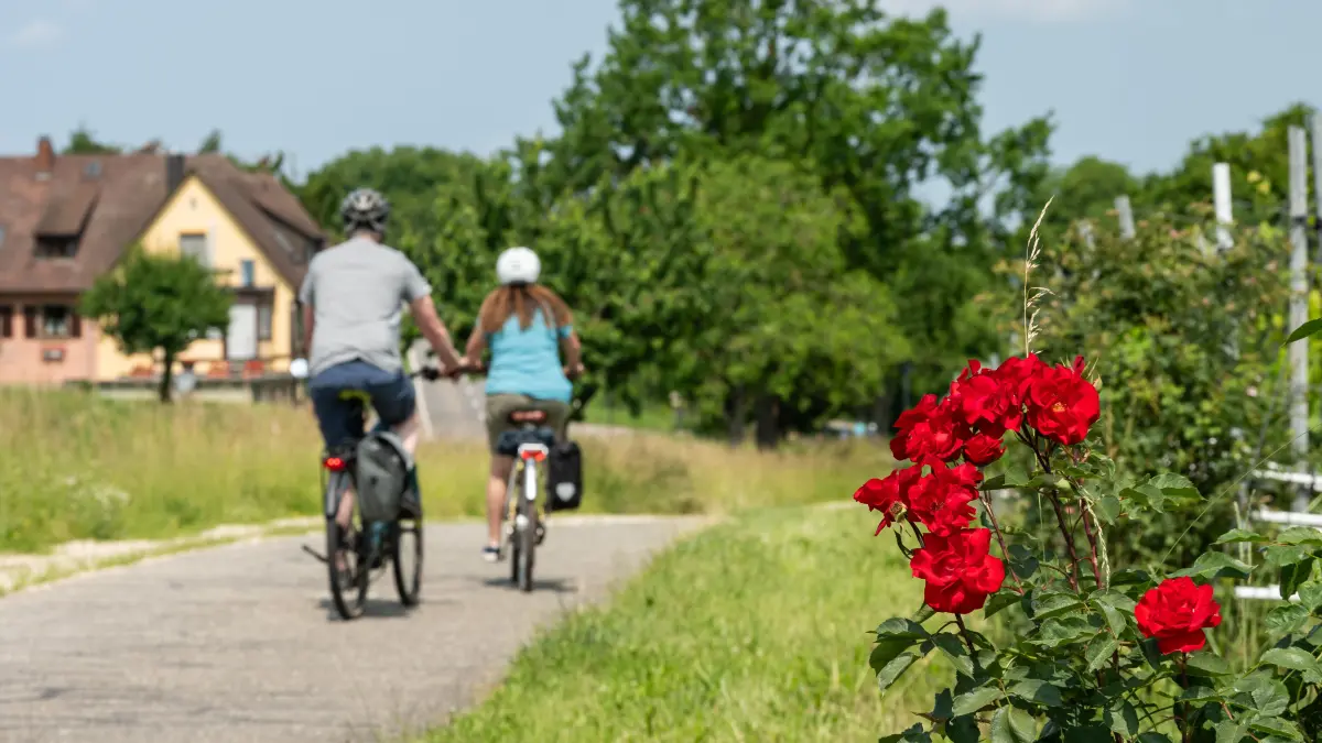 Schöne Pfingsten 2026! Hier bekommt ihr Bilder, Sprüche, Grüße und Zitate zur Inspiration.