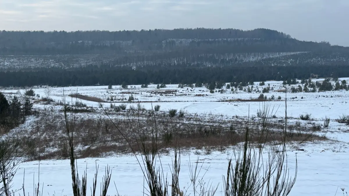 Blick in den Ostrandschlauch Kostebrau des Tagebaus Klettwitz in Richtung Kostebrau. Viele Einheimische sind mit den dort erfolgten Sanierungsarbeiten unzufrieden.