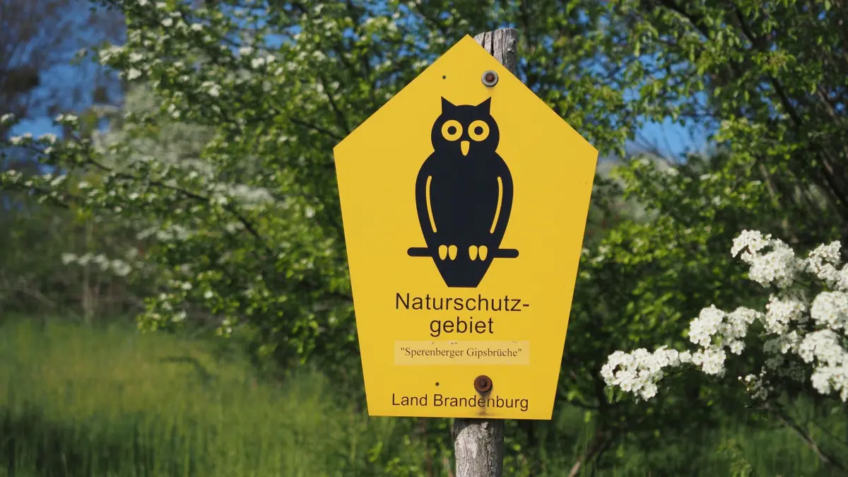Naturschutz-Eule