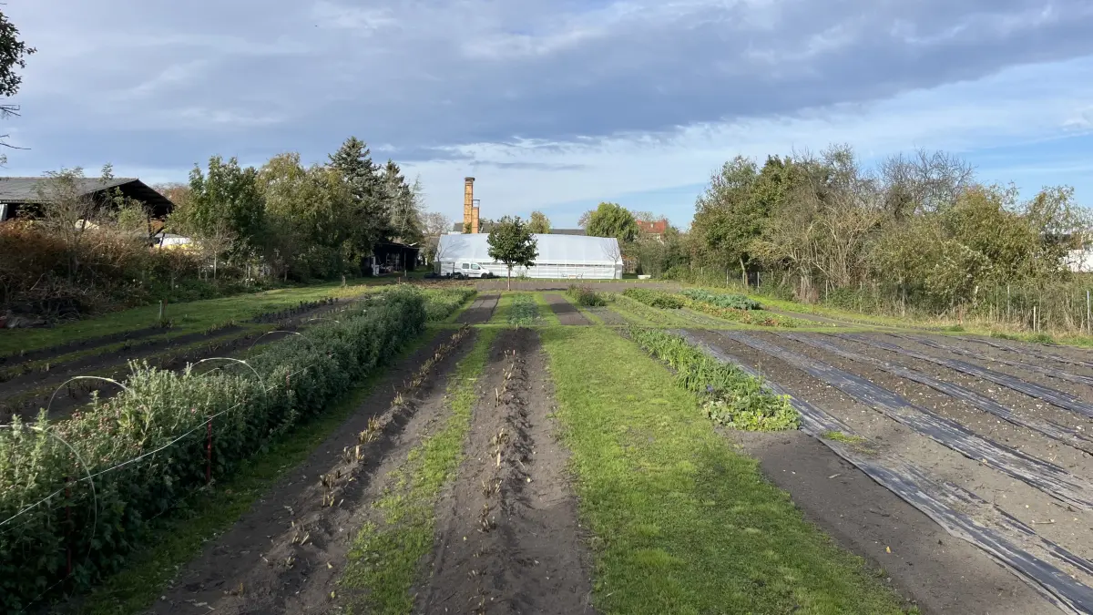 Die All-The-Flowers-Farm in Zossen, nahe Königs Wusterhausen. Die Beete sind ungefähr 25 Meter lang und einen Meter breit.