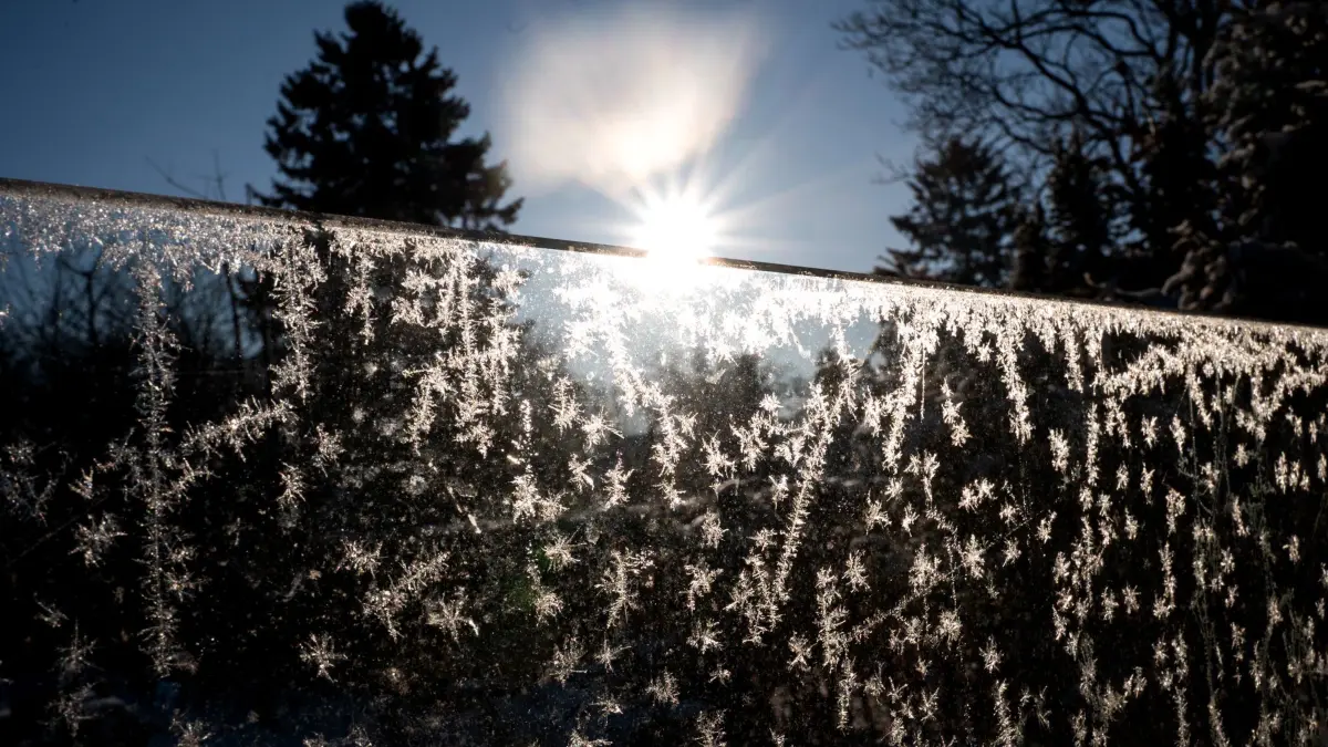 Winter in Hamburg: 15.02.2026, Hamburg: Eiskristalle glitzern in einem Garten auf einer Glasscheibe in der Sonne. Foto: Daniel Bockwoldt/dpa +++ dpa-Bildfunk +++