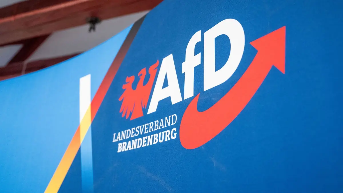 Logo AfD Brandenburg