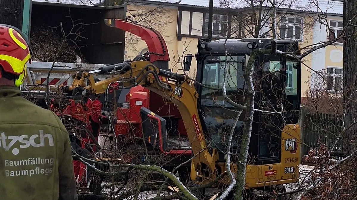 Die Fällarbeiten in der Briesker Ringstraße haben am Mittwoch begonnen. Die letzten Bäume des vierten Bauabschnittes fallen noch vor dem 28. Februar.