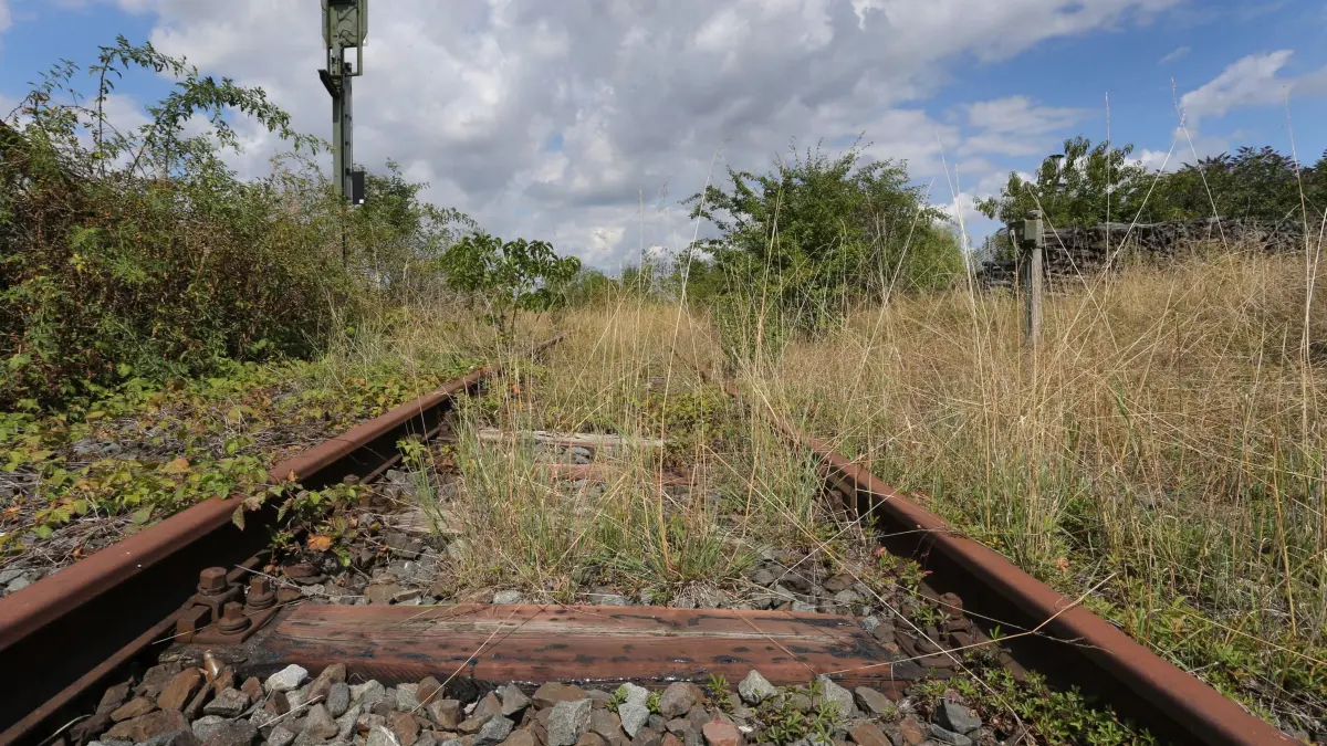 Stillgelegte Bahnstrecken: ARCHIV - 16.08.2019, Bayern, Prichsenstadt: Teilweise zugewuchert ist das Gleisbett der stillgelegten Bahnstrecke Schweinfurt-Kitzingen. Eine Machbarkeitsstudie sieht Möglichkeiten für eine Reaktivierung der Bahnstrecke zwischen Bitterfeld, Zörbig und Stumsdorf. (zu dpa: ««Saftbahn» bei Bitterfeld könnte reaktiviert werden») Foto: Karl-Josef Hildenbrand/dpa +++ dpa-Bildfunk +++