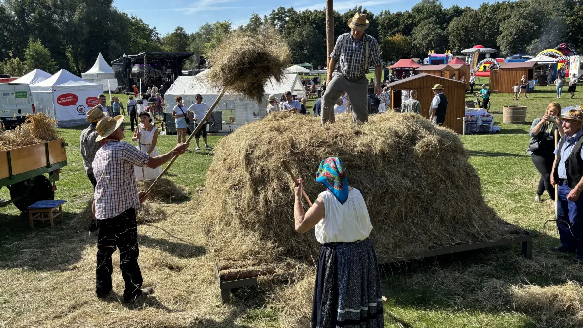 Spreewaldfest Lübben 2025, Bereich Schlossinsel