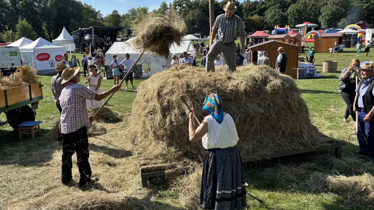 Spreewaldfest Lübben 2025, Bereich Schlossinsel