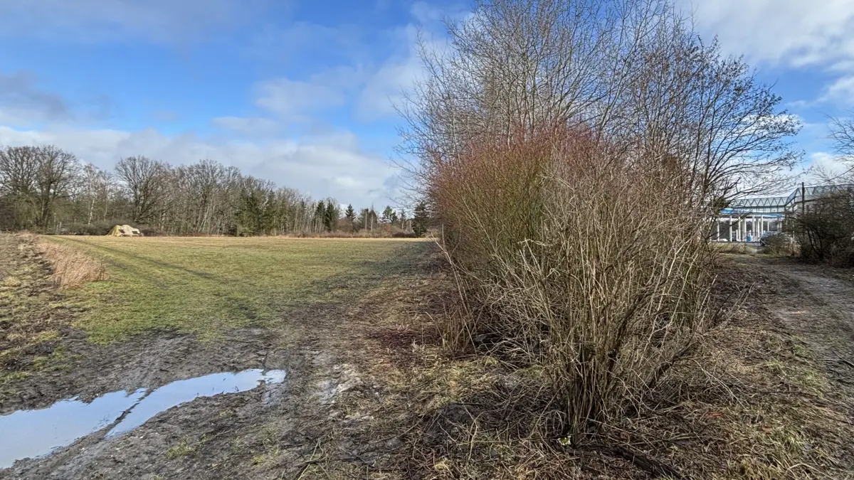 In direkter Nachbarschaft zur Tank- und Raststätte Freienhufener Eck steht jetzt ein Hektar Land zur Versteigerung. Das Grundstück links von der Hecke gehört zur Gemarkung von Drochow, einem Dorf innerhalb der Gemeinde Schipkau.