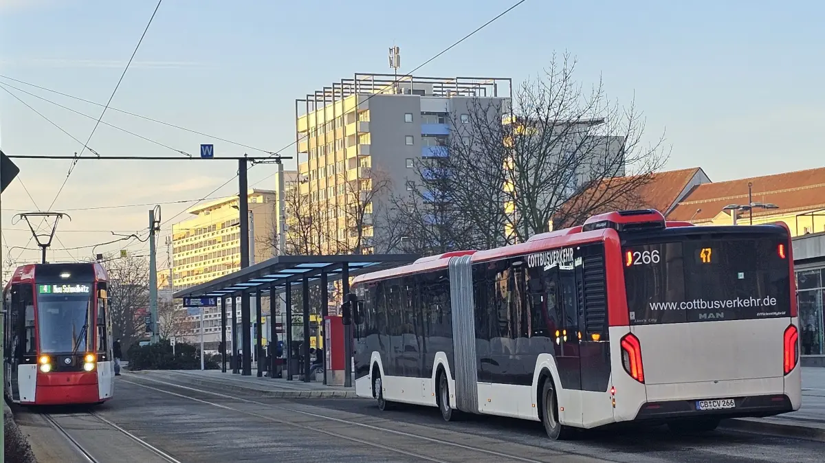 Ein Bus der Linie 47 wartet in Cottbus an der Haltestelle Stadthalle/Puschkinpromenade. Ab 2. März tritt eine kleine Anpassung des Fahrplans in Kraft.