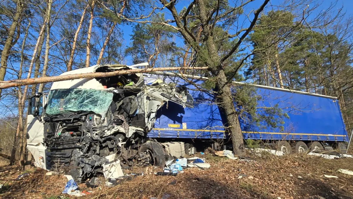 Unfall auf der A13: Dieser Lkw ist zwischen Großräschen und Klettwitz von der Autobahn abgekommen und in eine Baumgruppe gekracht.